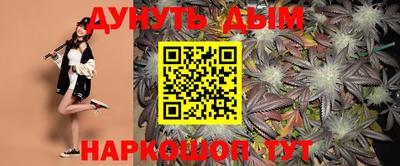 apvp Бердск