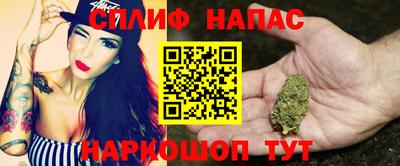 apvp Бердск