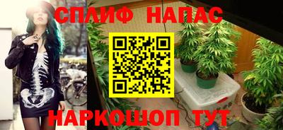 apvp Бердск