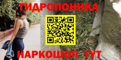 apvp Бердск