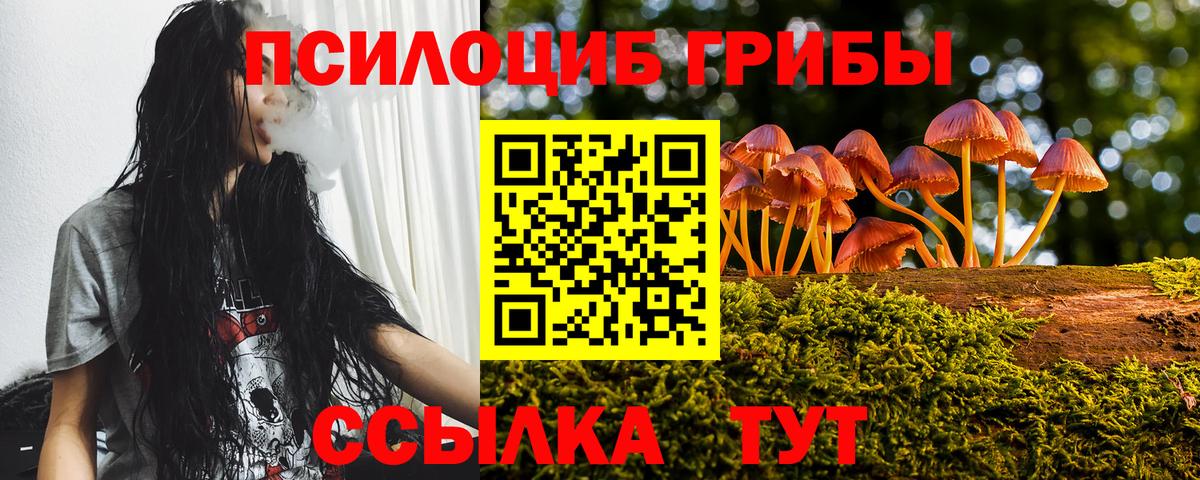 Псилоцибиновые грибы Cubensis Нальчик