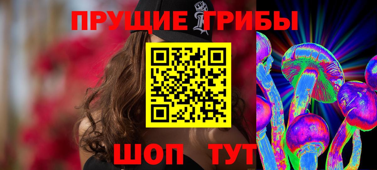 Псилоцибиновые грибы мицелий  Псилоцибиновые грибы Psilocybe  наркошоп  Нальчик  Вход с VPN 